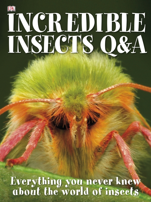 Title details for Incredible Insects Q and A by Sally Tagholm - Available